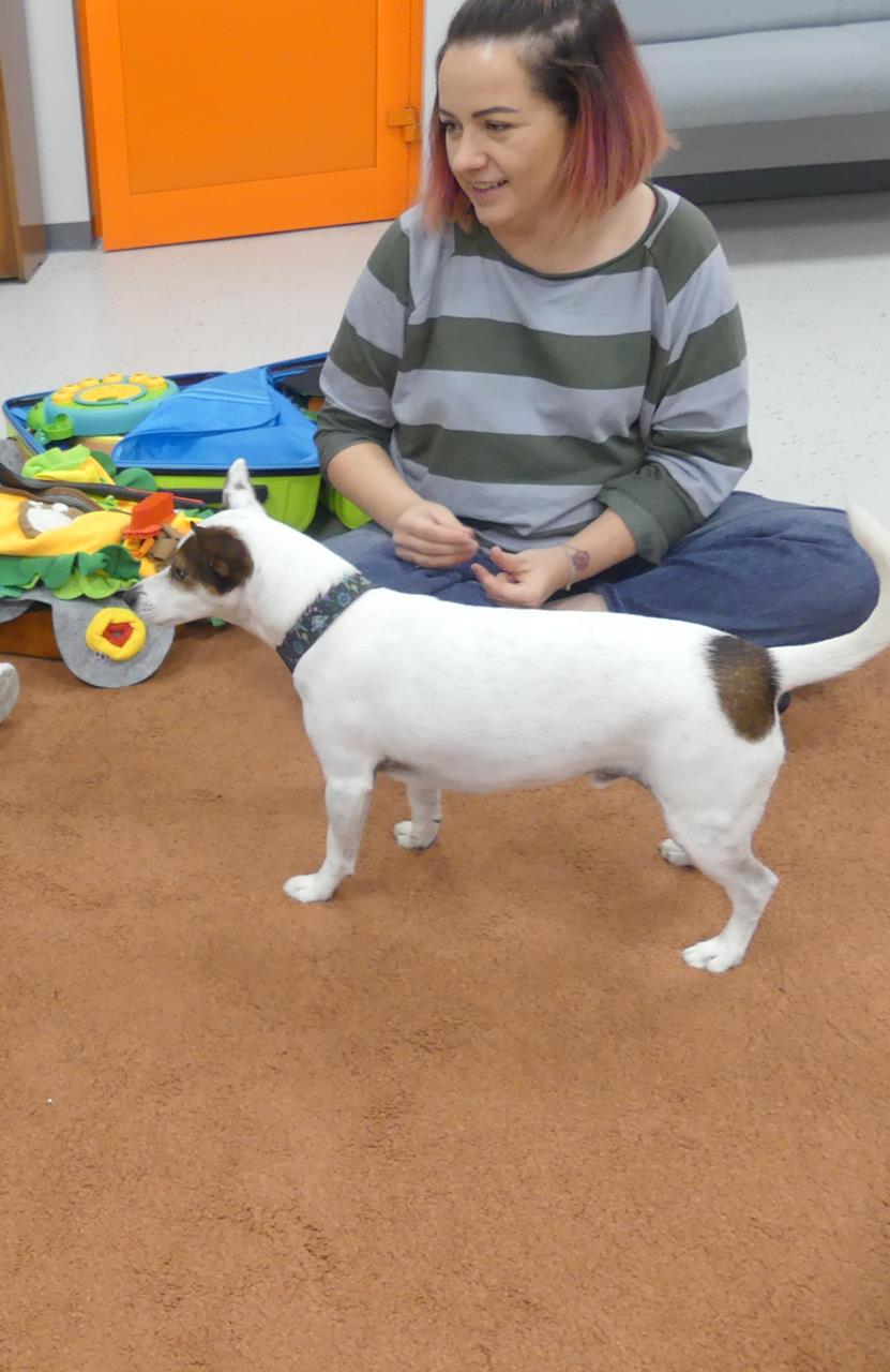 Piesek Momo – dogoterapia
